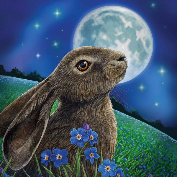 Rabbits: Moon Gazer by Lisa Parker