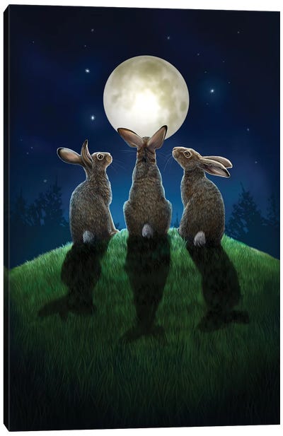 Moon Shadows Canvas Art Print - Rabbit Art