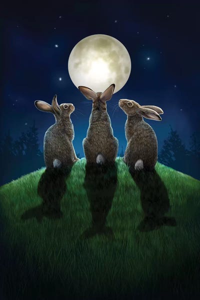 Rabbits: Moon Shadows by Lisa Parker