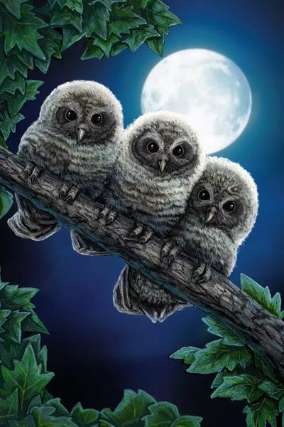 Owls: Power Of Three by Lisa Parker