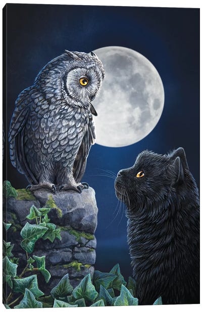 Purrfect Wisdom Canvas Art Print - Owl Art