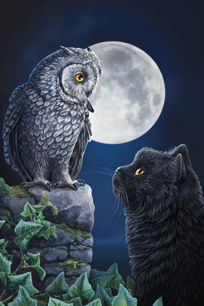 Lisa Parker: Purrfect Wisdom by Lisa Parker
