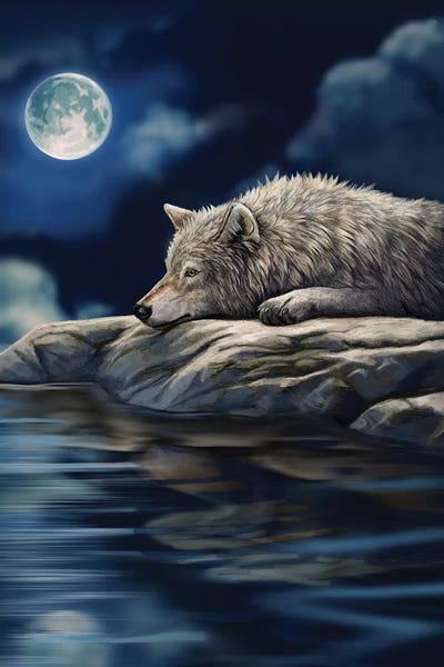 Wolves: Quiet Reflection by Lisa Parker