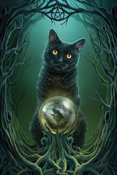 Black Cats: Rise Of The Witches by Lisa Parker
