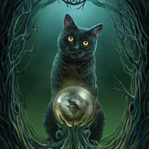 Rise Of The Witches, Square