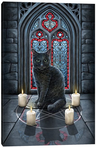 Sacred Circle Canvas Art Print - Black Cat Art