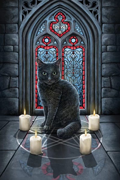 Black Cats: Sacred Circle by Lisa Parker