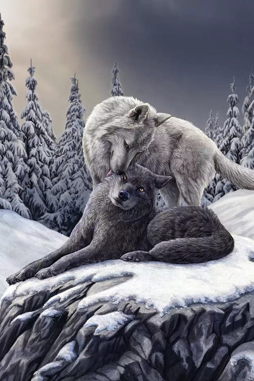 Snow Kisses by Lisa Parker wall art