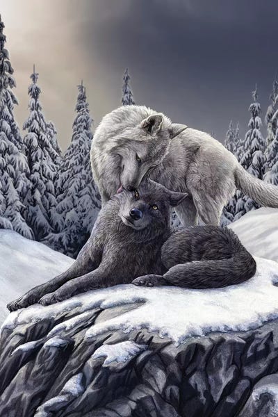 Wolves: Snow Kisses by Lisa Parker