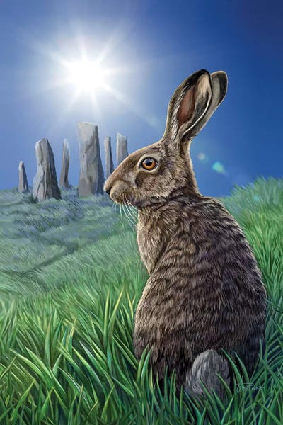 Rabbits: Solstice by Lisa Parker