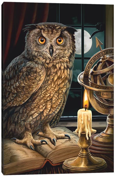The Astrologer Canvas Art Print - Owl Art