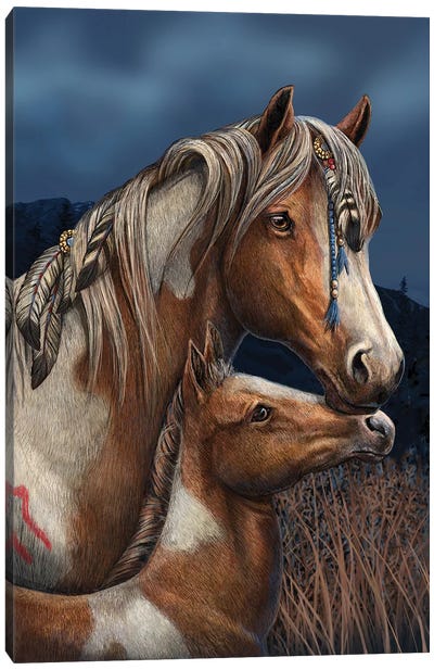 Apache Canvas Art Print - Lisa Parker