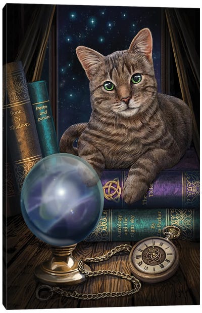 The Fortune Teller Canvas Art Print - Tabby Cat Art