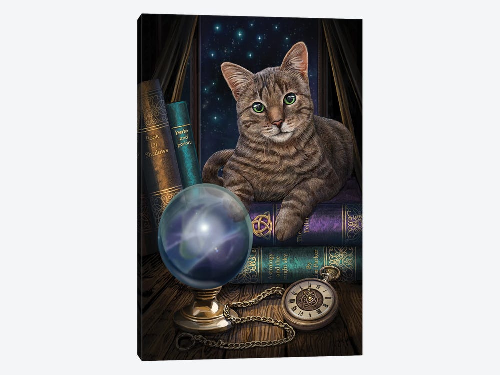 The Fortune Teller by Lisa Parker 1-piece Canvas Print