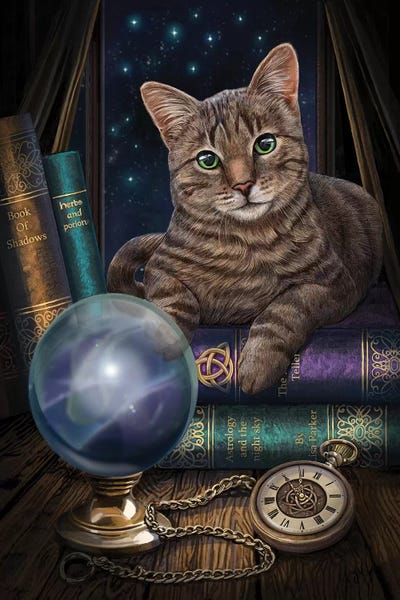 Orange Cats: The Fortune Teller by Lisa Parker