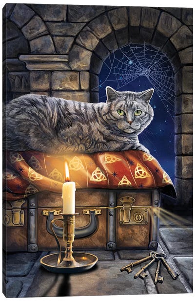 The Keeper Of Secrets Canvas Art Print - Tabby Cat Art