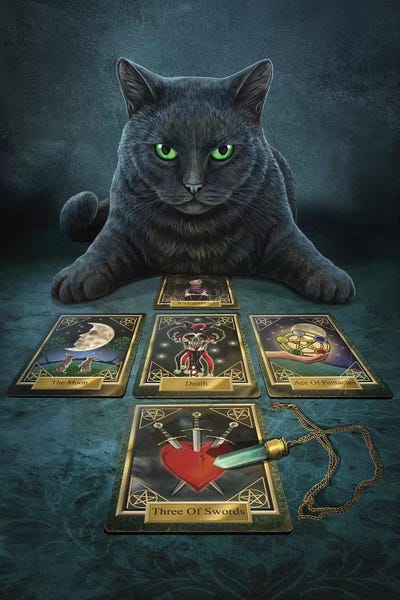 Black Cats: The Medium by Lisa Parker