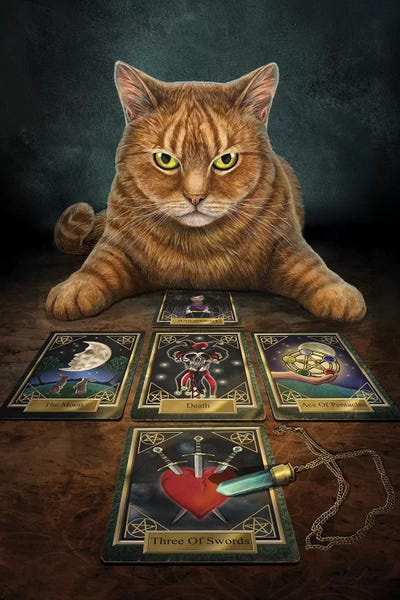 Orange Cats: The Reader by Lisa Parker