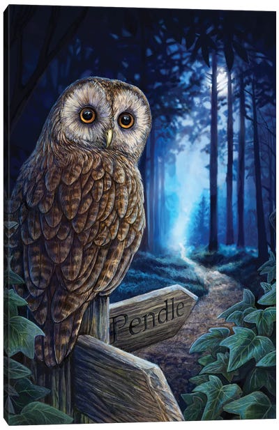 The Way Of The Witch Canvas Art Print - Owl Art