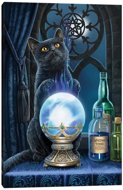 The Witches Apprentice Canvas Art Print - Black Cat Art