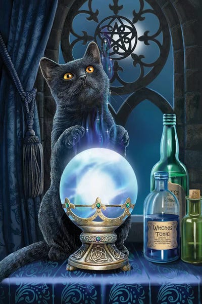 Cats: The Witches Apprentice by Lisa Parker