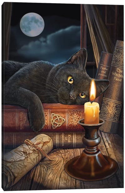 The Witching Hour Canvas Art Print - Best of Animal Art