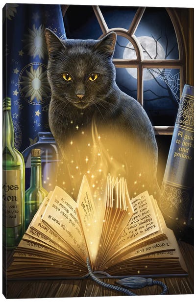 Bewitched Canvas Art Print - Black Cat Art