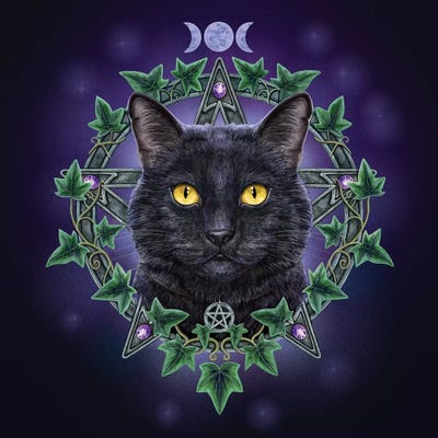 Charmed One by Lisa Parker metal wall art