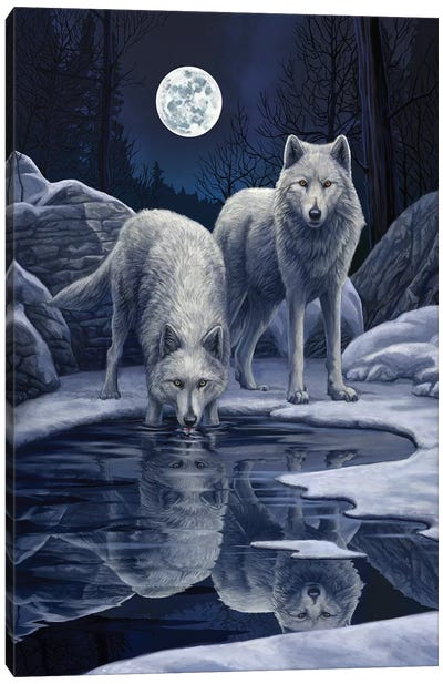 Warriors Of Winter Canvas Art Print - Wolf Art