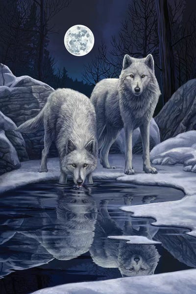 Wolves: Warriors Of Winter by Lisa Parker