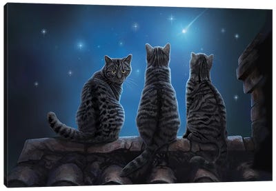 Wish Upon A Star Canvas Art Print - Cat Art
