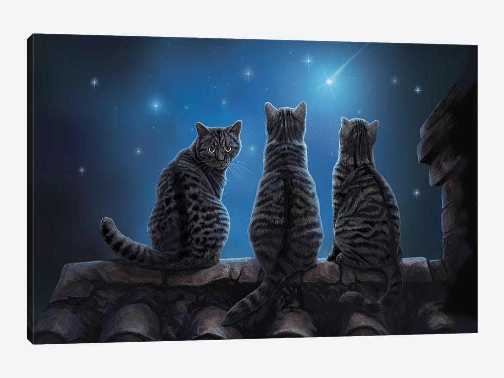 Wish Upon A Star by Lisa Parker 1-piece Canvas Artwork