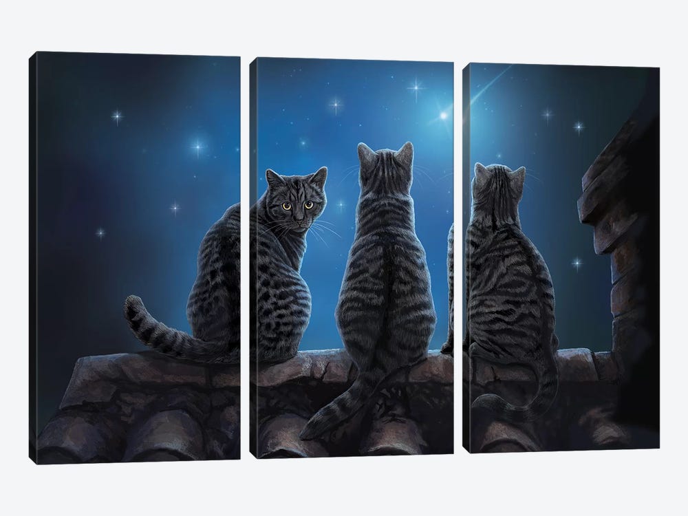 Wish Upon A Star by Lisa Parker 3-piece Canvas Wall Art