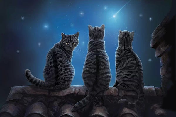 Black Cats: Wish Upon A Star by Lisa Parker