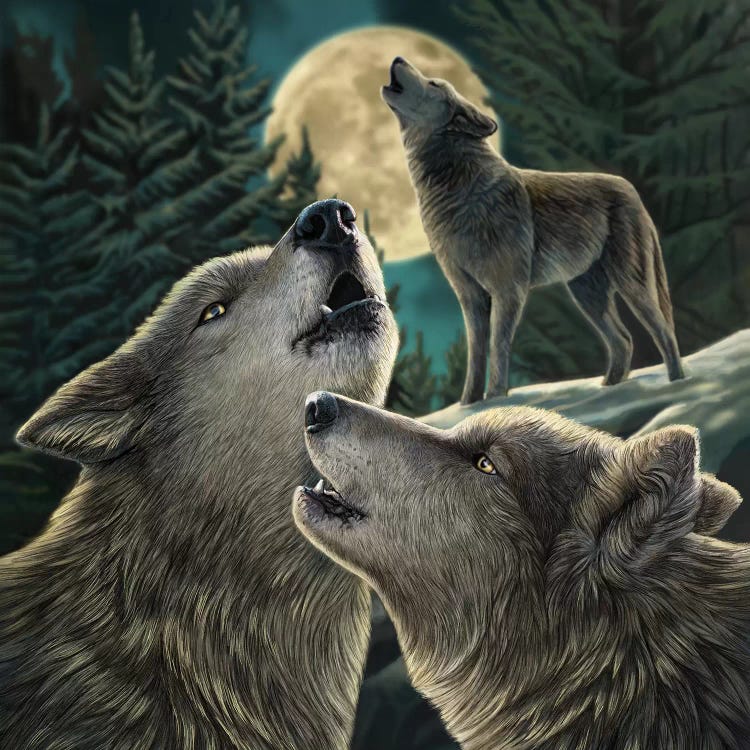 Wolf Song