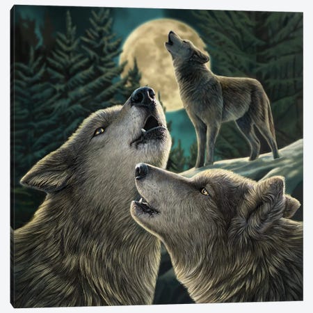 Wolf Song Canvas Print #LPA44} by Lisa Parker Canvas Art Print