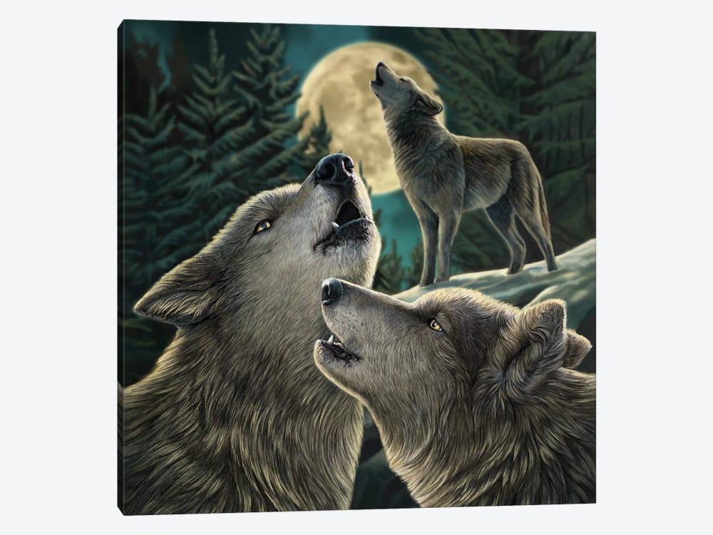 Wolf Song by Lisa Parker 1-piece Canvas Art Print