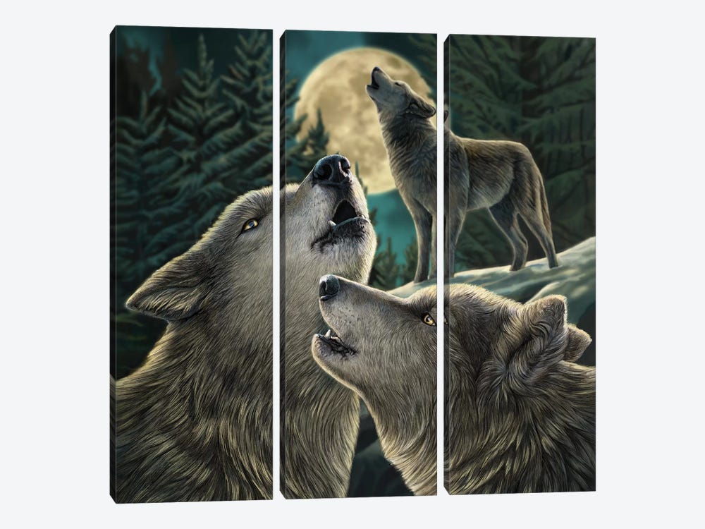 Wolf Song by Lisa Parker 3-piece Art Print