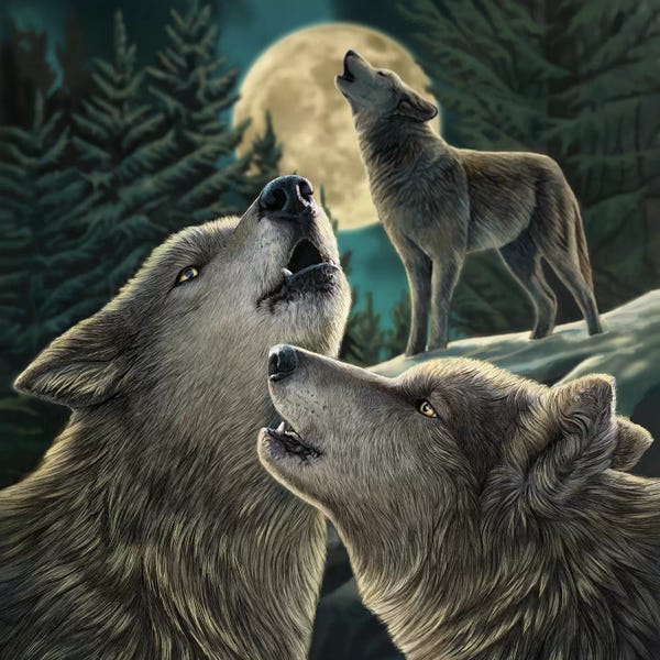 Wolves: Wolf Song by Lisa Parker