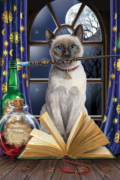 Cats: Hocus Pocus by Lisa Parker