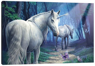 The Journey Home Canvas Art Print - Unicorn Art