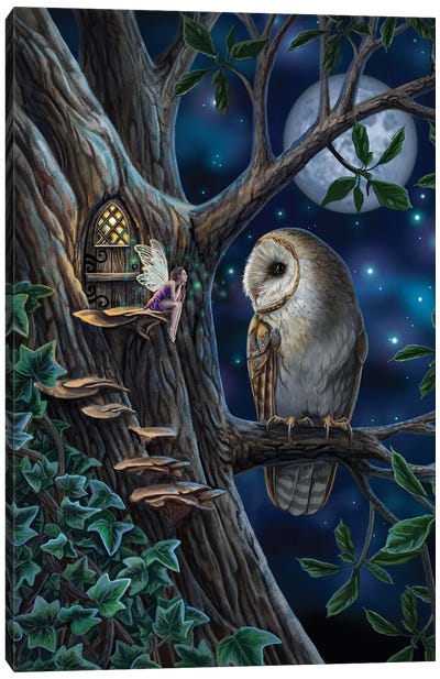 Fairy Tales Canvas Art Print - Owl Art