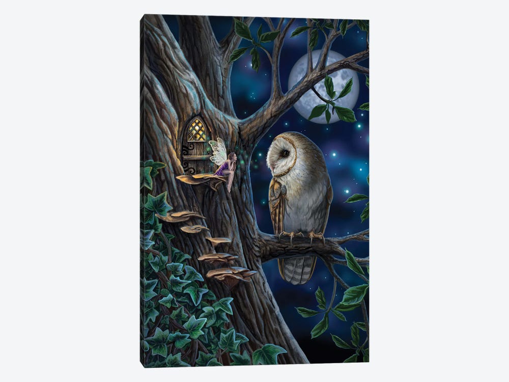 Fairy Tales by Lisa Parker 1-piece Canvas Art