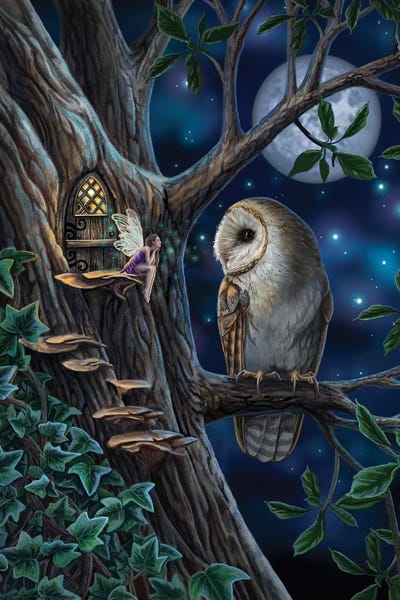 Owls: Fairy Tales by Lisa Parker