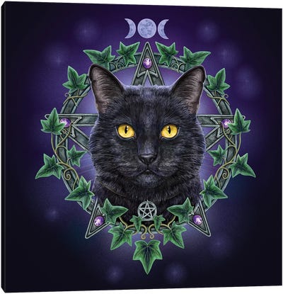 Charmed One Canvas Art Print - Black Cat Art