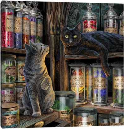 Magical Emporium Canvas Art Print - Black Cat Art
