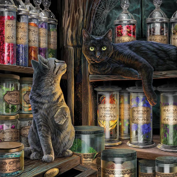 Black Cats: Magical Emporium by Lisa Parker