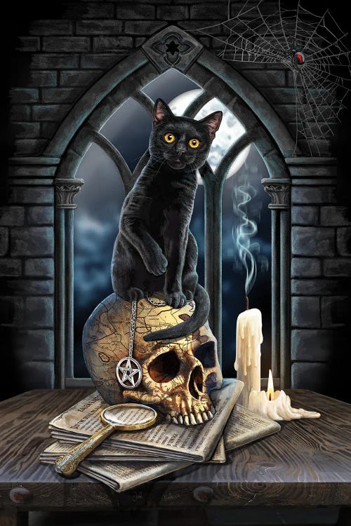 Spirits Of Salem by Lisa Parker wall art