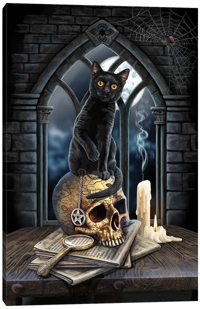 Spirits Of Salem Canvas Art Print - Black Cat Art