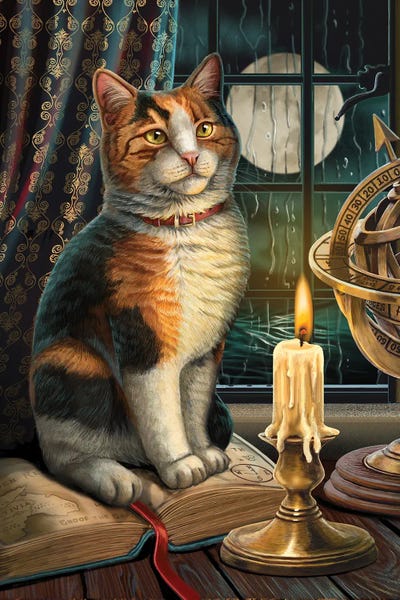 Orange Cats: Adventure Awaits by Lisa Parker